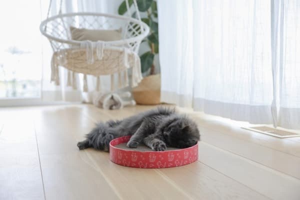 KERBL Scratch Bed Circle - Katteskraber - 34cm