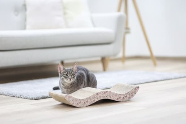 KERBL Browse ECO Board -kartonkiraapimistolppa kissoille - 45x18,5x85 cm