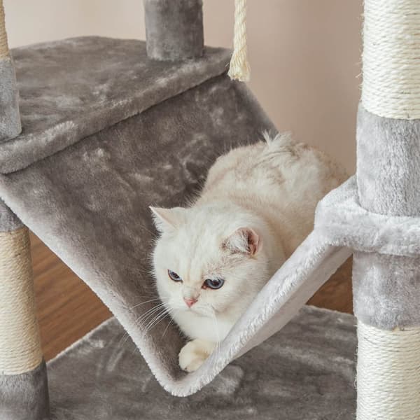 Rootz Cat-kradsestolpe - Klatretræ - Interaktivt kattetårn - Højde 206 cm - 2 hyggelige huler - Sisalstænger - 60 cm x 50 cm x 206 cm