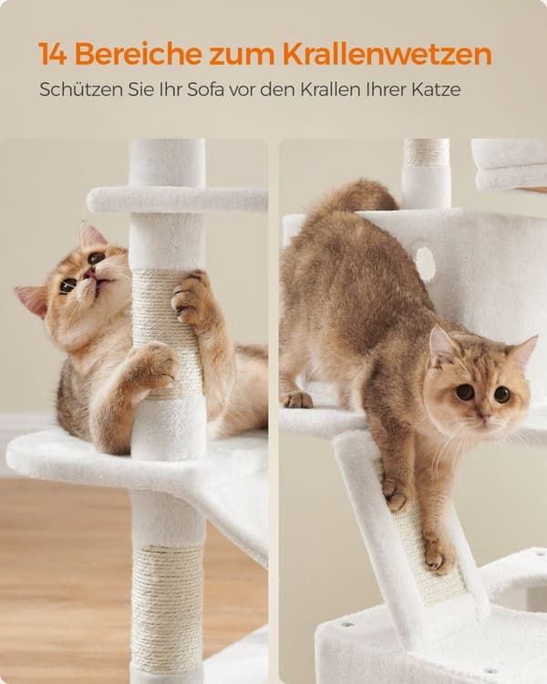 Rootz Skrapstolpe - Kattträd - Katttorn - Spånskiva - Plysch - Sisal - 55cm x 45cm x 168cm - Krämvit - 18,4kg - Maxbelastning 65kg