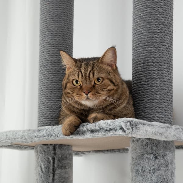 Rootz Cat-kradsestolpetræ - Justerbare højder - Hyggelige hængekøjer - Flere niveauer - Blødt betræk - Robuste understøtninger - Gulv til loft - Grå -