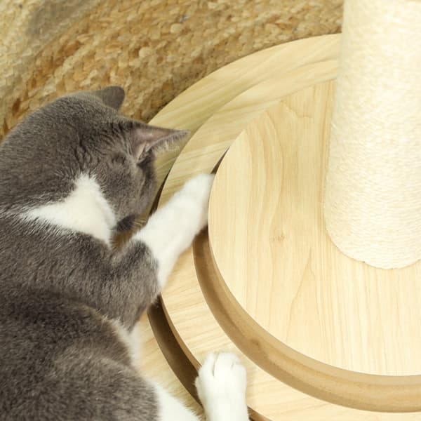 Rootz Cat Scratching Post Indoor - Cat Tree Play Set - Sisal Scratcher - Tvåstegs roterande spel - Robust MDF-konstruktion - 45cm x 45cm x 69cm