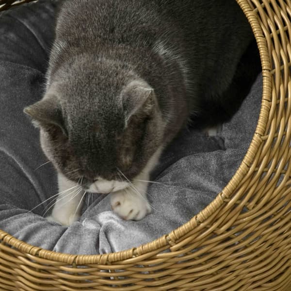 Rootz Rattan Cat House - Kattkorg - Mysig kattsäng - Tvättbar kudde - PE-rotting - 50cm x 31cm - Snygg design