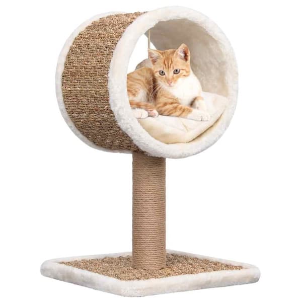 Kattmöbel med tunnel och leksak 56 cm sjögräs
