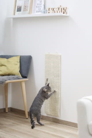 KERBL Cat Scratcher, Kevin, kulma, 80 x 28 cm