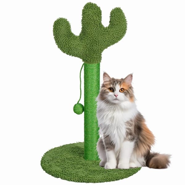Kattekradsestolpe - CACTUS - grøn
