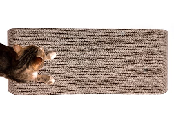 Kattskrapa i kartong 26x75