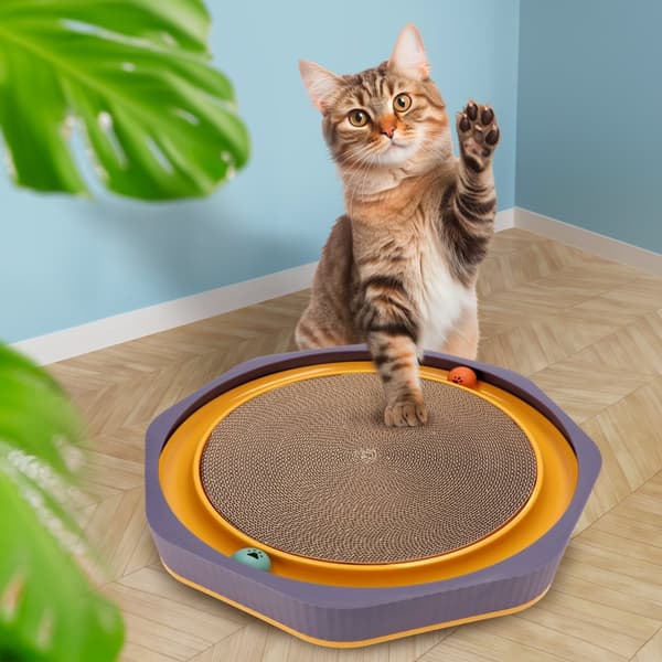 Katte kradsestolpe