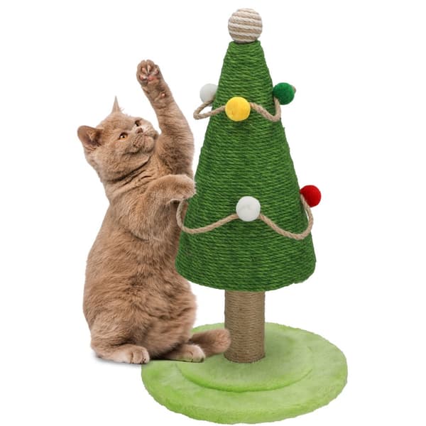 Julgran kattskrapa