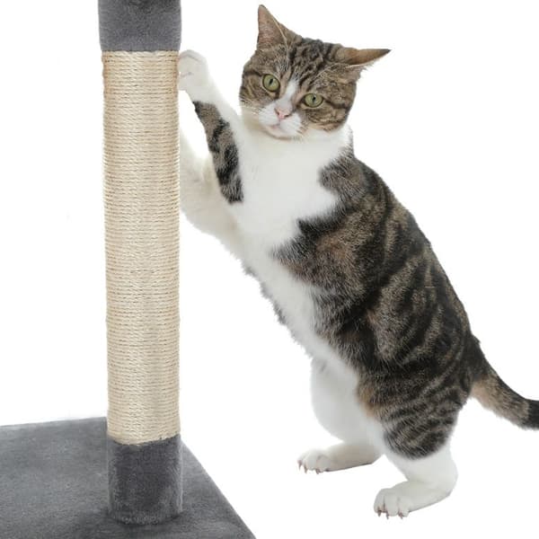 Kradsetræ for katte 370159