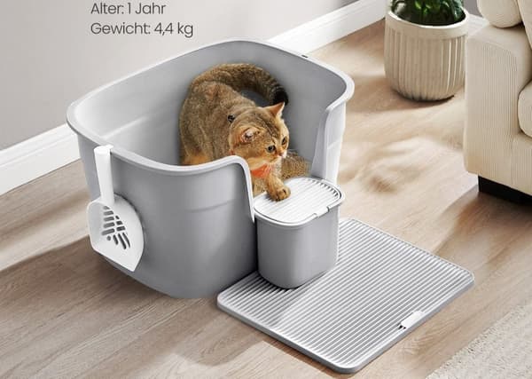 Rootz Cat kattlåda - Kitty kattlåda - Högsidig kattlåda - PP plast - 64cm x 76cm x 33cm
