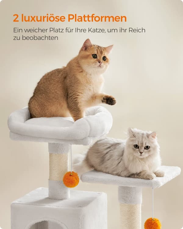 Scratching Post - Med ridseposter og platforme