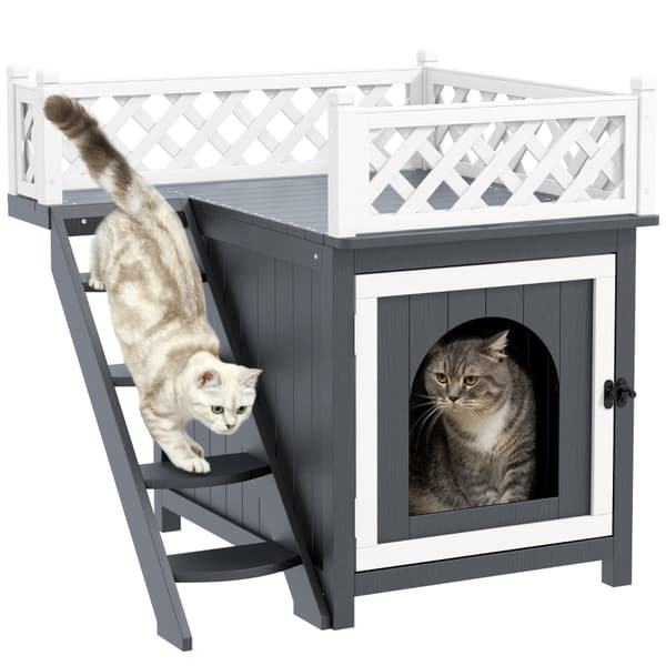 Rootz Cat Cave - Kodikas kissan talo - Lemmikkieläinten piilopaikka - Korotettu muotoilu - Kuusi - Monipuolinen hiekkalaatikon kansi - 67,5 L x 63 L x