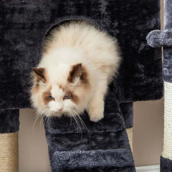 Scratching Post - Smoky Grey