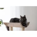 Miniatyrbild 5 av 8: KERBL - Kattträd Ambiance Taupe - 49x35x56 cm - Taupe - Sisal
