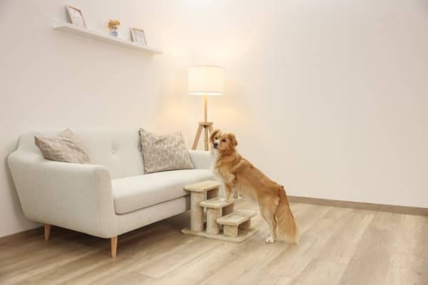 KERBL Pet Stairs Easy Climb 2,0, 45 x 35 x 34 cm, jopa 50 kg