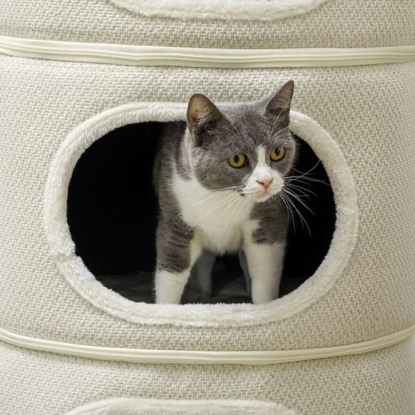 Rootz 4 Tier Cat Barrel - Cat Tower - Indoor Cat House - Scratch & Play - 51 cm Ø x 100 cm h