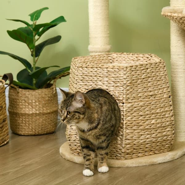 Rootz Cat Tree Climbing Tree - Scratching Board - Cat Play Tower - Armerad stabilitet - 50 cm x 50 cm x 119 cm