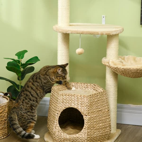 Rootz Cat Tree Climbing Tree - Scratching Board - Cat Play Tower - Armerad stabilitet - 50 cm x 50 cm x 119 cm