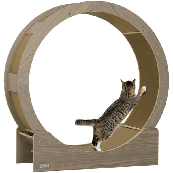 Rootz Cat Wheel - Cat Balance Bike - Cat Abraining Wheel - Stöder hälsosam träning - 91 cm x 33,5 cm x 94 cm - Brown