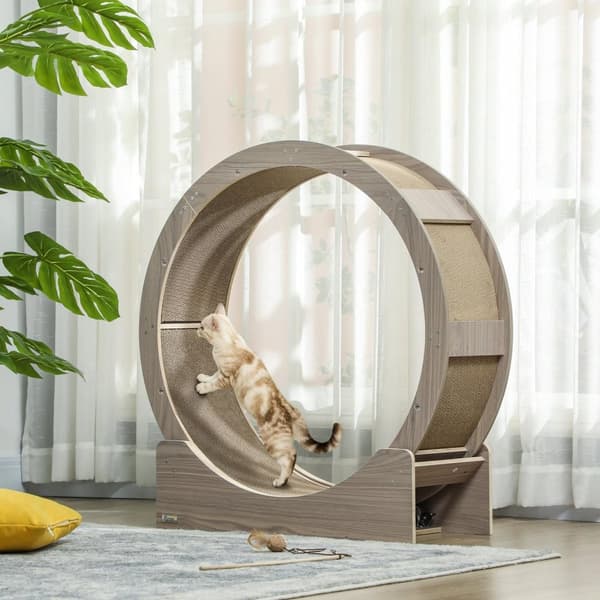Rootz Cat Wheel - Cat Balance Bike - Cat Abraining Wheel - Stöder hälsosam träning - 91 cm x 33,5 cm x 94 cm - Brown