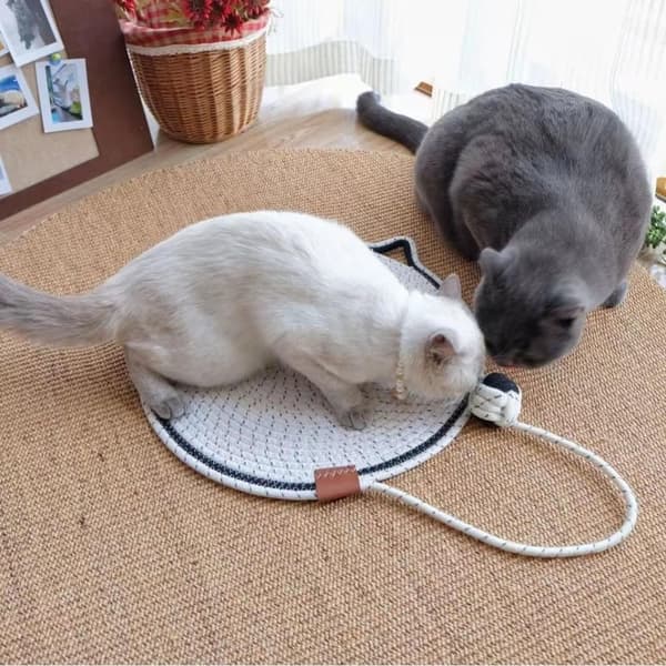 Kattklösmatta, bomullsbollleksak och kattöra designad klösmatta, hållbar klösvägg.