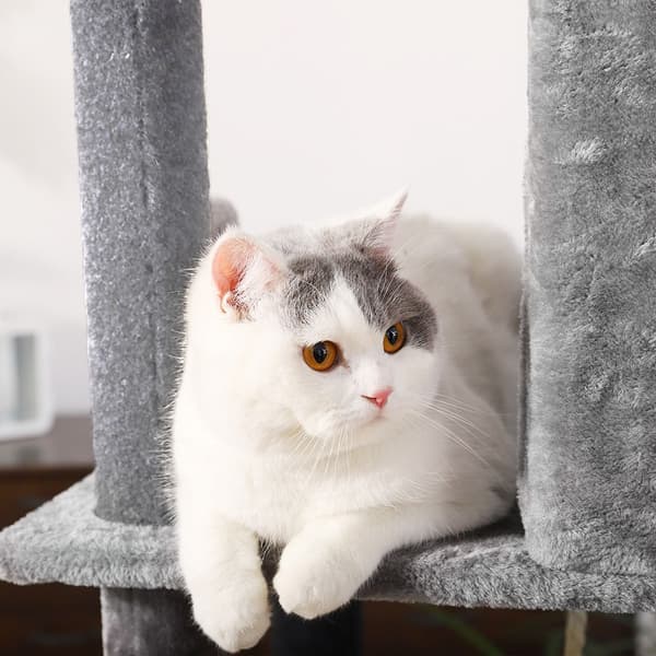 HARMAA CAT SCRATCHER TUTUMI P10244 GREY