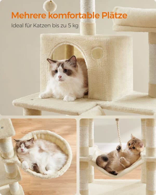 Kissapuuku, Feandrea, 55x45x168 cm, Beige