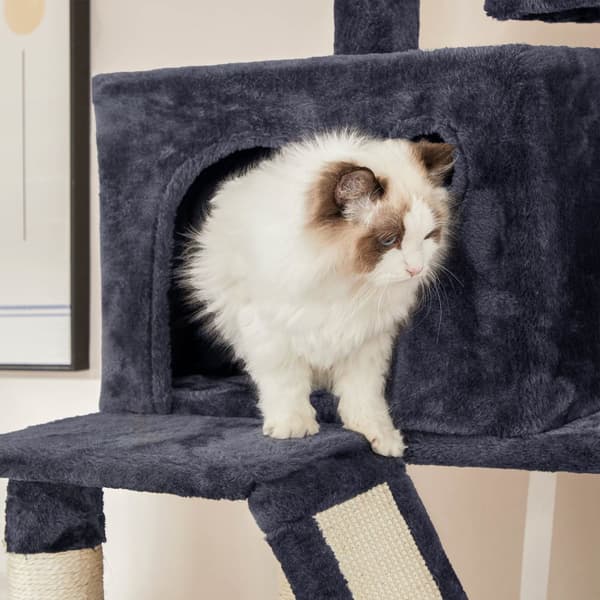 Kradsetræ, Feandrea, XL-Katte træ, 206 cm, Røggrå