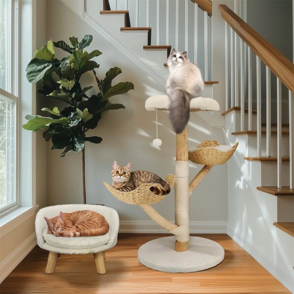 Kattklättringsträd, hållbar träkonstruktion, naturlig design, engagerande aktivitetsfunktioner