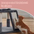 Miniatyrbillede 4 af 6: Skrabepost, skrabepost med stor platform, katte ridseplads med hule og hængende kurv