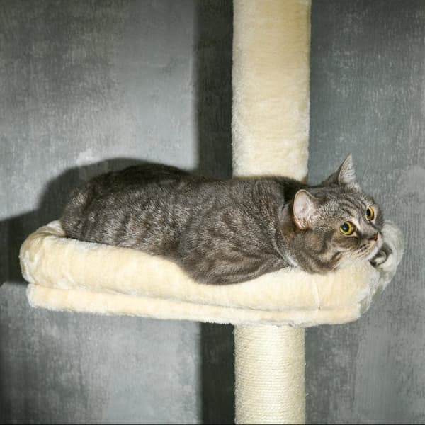 Rootz Scratching Tree Sisal Stem - Cat Tower - Activity Playhouse - Højdejusterbar - 4 niveauer - 40b x 31t x 230-260h cm