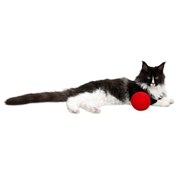 Kerbl ull katt lekboll - röd - 10 cm