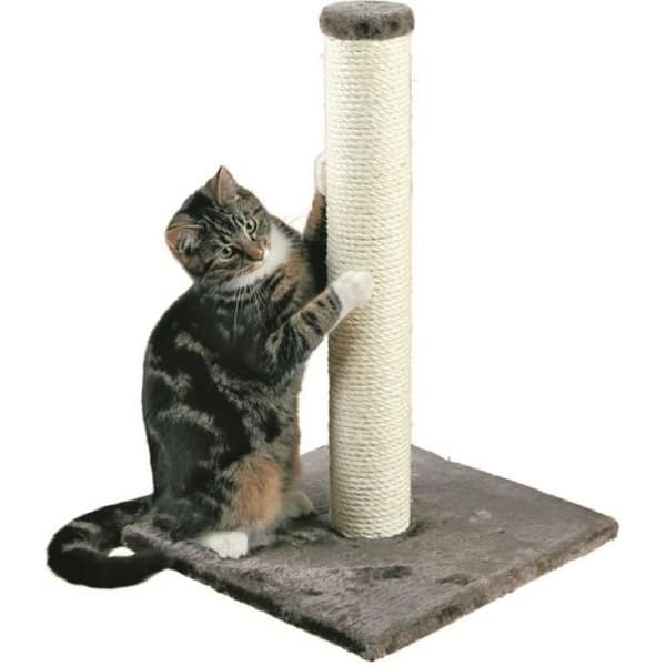Kattträd - TRIXIE - Parla - Höjd 62 cm - Plysch och naturlig sisal