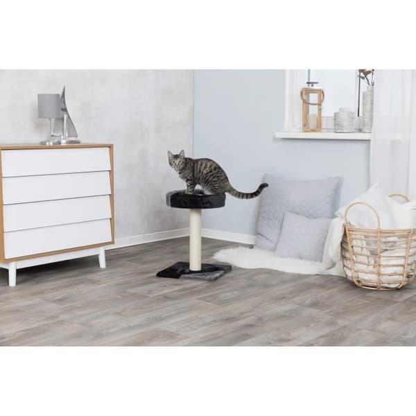 TRIXIE Tarifa Junior kattträd - 52 cm - Grå och svart