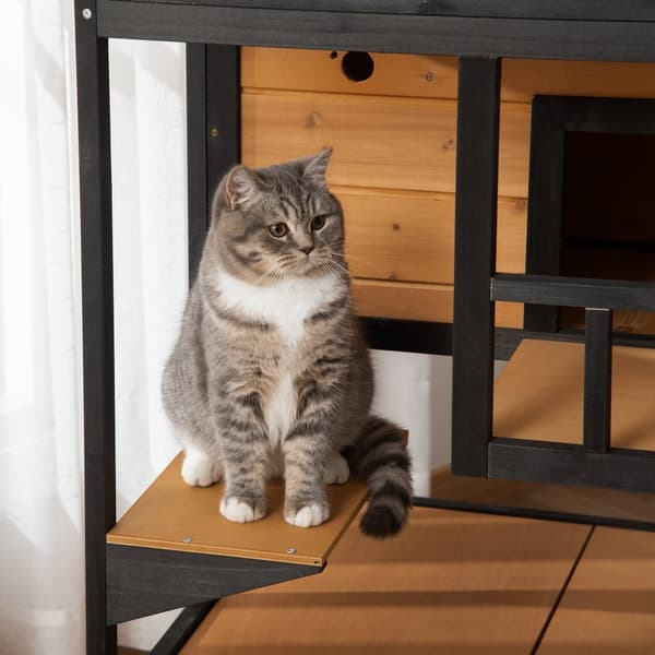 Kattstuga, 75.5x75x137 cm, Gul