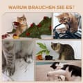 Miniatyrbild 6 av 9: Kattklätterväggset, Steg: Ø10x27,5 cm, Klöspelare: 15,5x12,5x57,5 cm, Stege: 91x22x15,5 cm, Naturträ