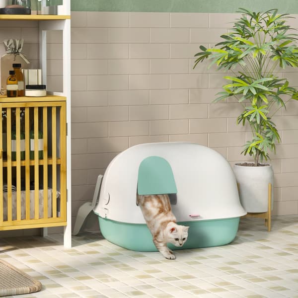 Kat Toilet, 58x46x39 cm, Grøn