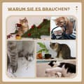 Miniatyrbillede 6 af 9: Kradsetræ, 59.5x39.5x114 cm, Eg+Creme