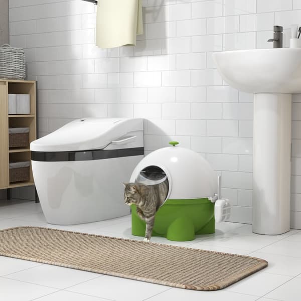 Kattetoilet, 53x51x48 cm, Grøn Hvid