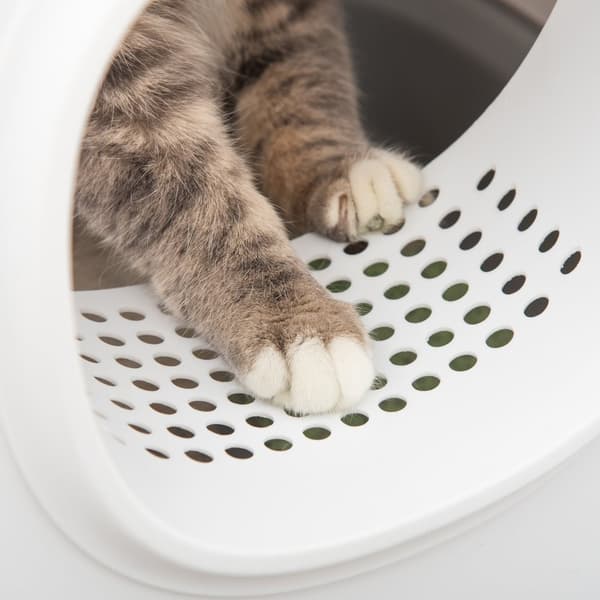 Katte Toilet med Hætte, 55x40x39 cm, Hvid