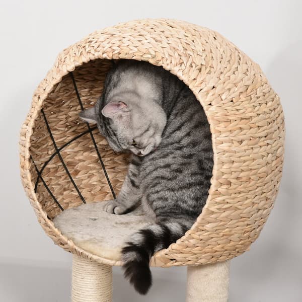 Kradsestolpe med Kattehule, D30-371, 48x40x100 cm, Beige