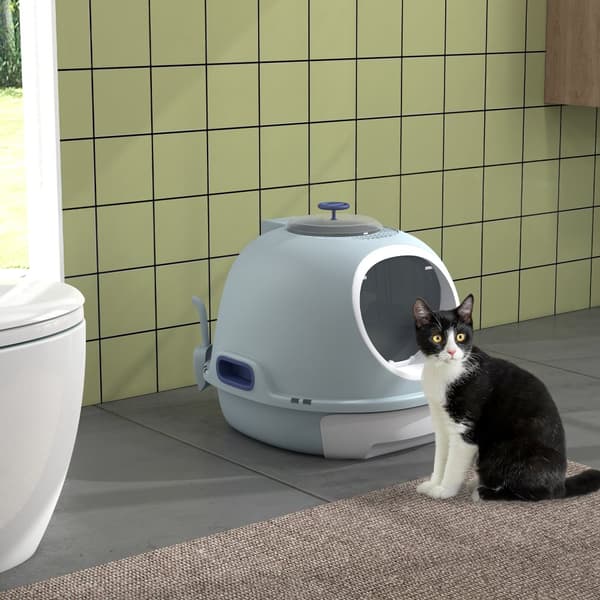 Katte Toilet, 47x55x44 cm, Blå