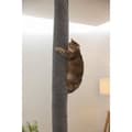 Miniatyrbild 1 av 6: Klätterpåse för katter - KERBL - MATTA - 16 x 16 x 240 cm - Takmontering - Polyester