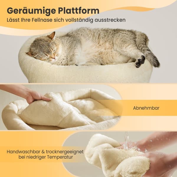 Kissapuu - 67 cm - pieni - beige