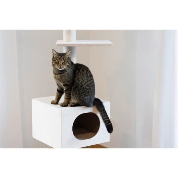 KERBL - Kattträd FERDI - 38 x 38 x 240 till 260 cm - Vit - Sisal