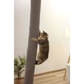 Miniatyrbild 6 av 6: KERBL Klätterväska för Katter - CLIMBER - 16 x 16 x 240 cm - Takmontering - Grå