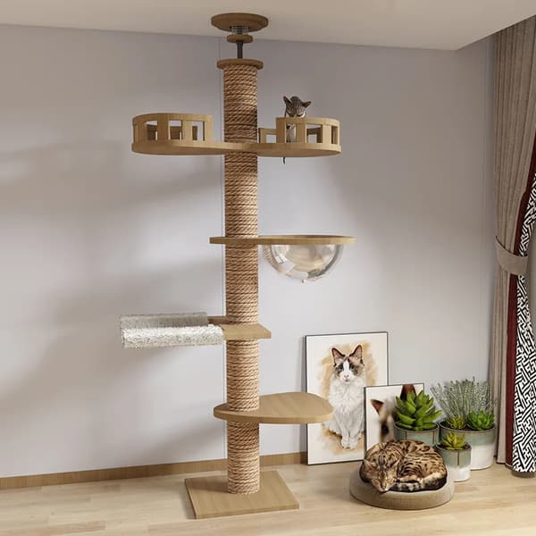 Justerbar kattställning, rymlig flervåningsdesign, miljövänliga material,Naturlig träfärg