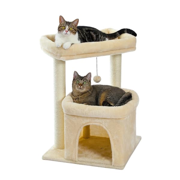 Kissapuu, Kaksinkertainen Suuri Lepotaso, Mukava Kondominiumi,68 cm, AMT0028BG-HZ