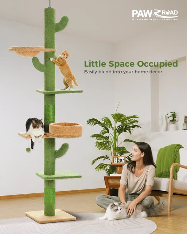 Kaktuskatteträd, Justerbar Höjd 235 cm, 5-Nivå Design, Vänligt för Flera Katter,som bild, AMT0246GN